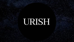 Aliado Estratégico 6